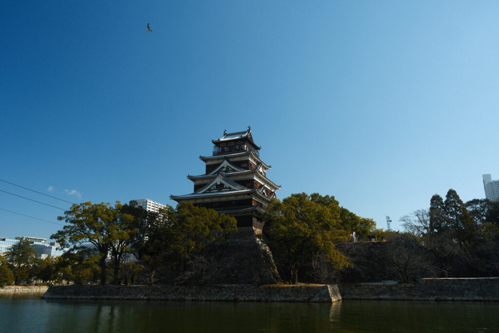 filmsimulation-realaace