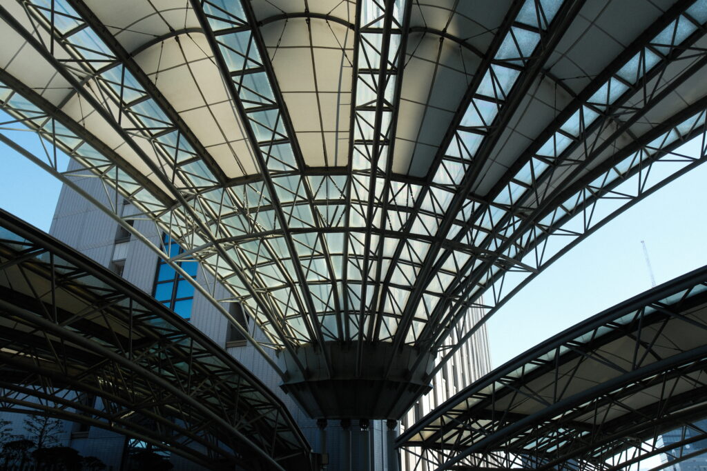 filmsimulation-realaace