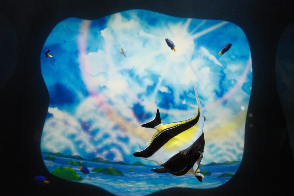 filmsimulation-realaace