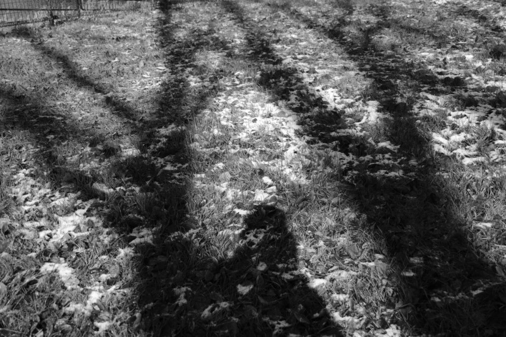 filmsimulation-acros