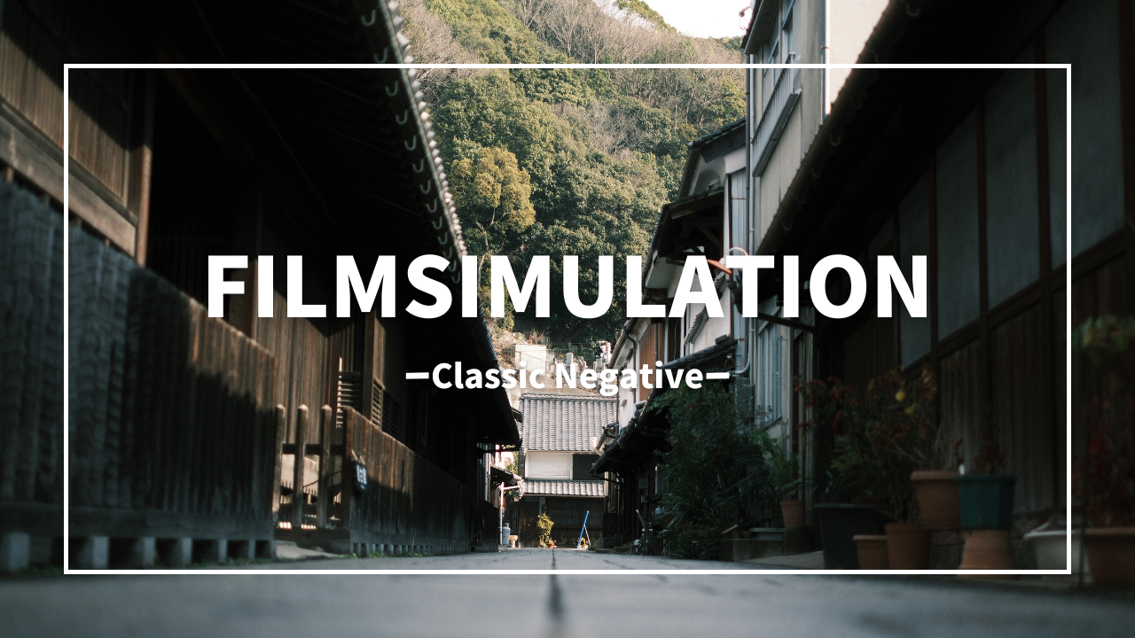 Classic Negative